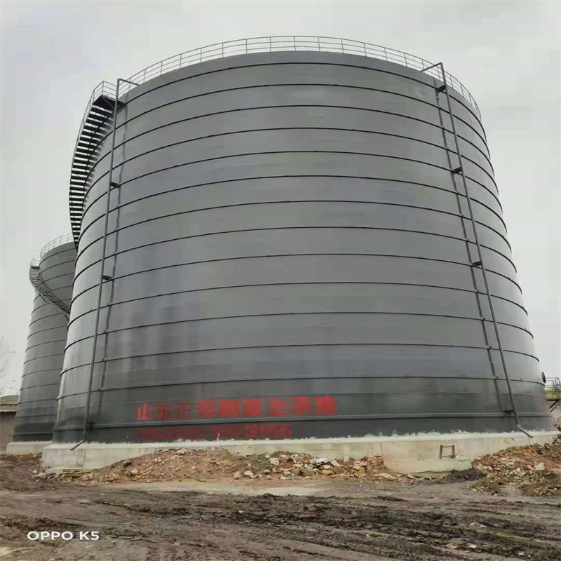 新邵3万吨大型钢板库